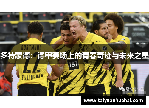 多特蒙德：德甲赛场上的青春奇迹与未来之星