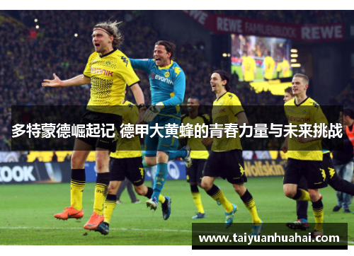 多特蒙德崛起记 德甲大黄蜂的青春力量与未来挑战